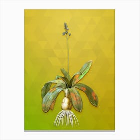 Vintage Scilla Lilio Hyacinthus Botanical Art on Empire Yellow n.0921 Canvas Print