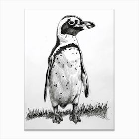 African Penguin Standing Tall And Proud 1 Canvas Print