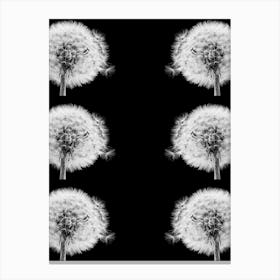 Dandelions Canvas Print