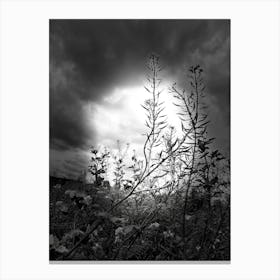 Black And White 1 Canvas Print