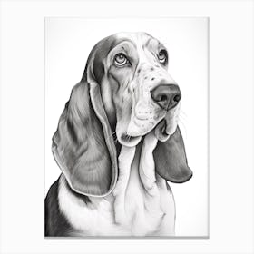 Basset Hound Dog, Line Drawing 2 Canvas Print