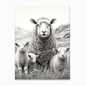 Black & White Illustration Of Highland Sheep With Lamb 3 Canvas Print