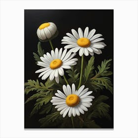 Denmark National Flower The Marguerite Daisy 1 Canvas Print