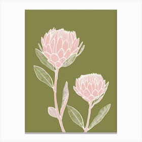Pink & Green Protea 1 Canvas Print