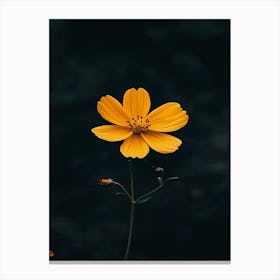 Yellow Flower Canvas Print