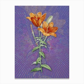 Vintage Orange Bulbous Lily Botanical Illustration on Veri Peri n.0252 Canvas Print