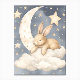 Sleeping Baby Bunny Canvas Print