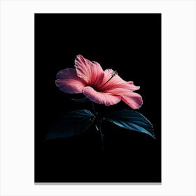 Hibiscus Flower 3 Canvas Print