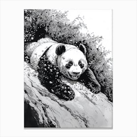 Giant Panda Cub Sliding Down A Hill Ink Illustration 1 Canvas Print