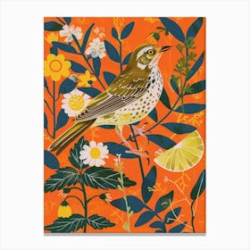 Spring Birds Mockingbird 2 Canvas Print