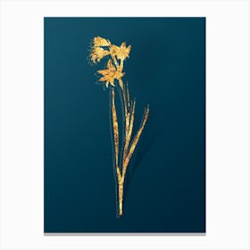 Vintage Painted Lady Botanical in Gold on Teal Blue n.0338 Canvas Print