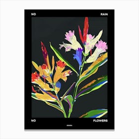 No Rain No Flowers Poster Celosia 4 Canvas Print