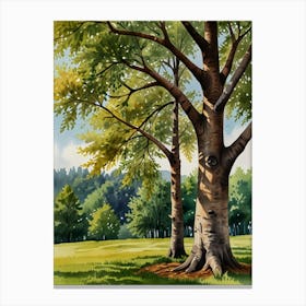 Watercolor Of A Tree Canvas Print