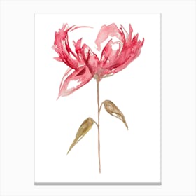 Pink Flower Canvas Print