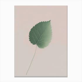 Raspberry Leaf Herb Simplicity Canvas Print