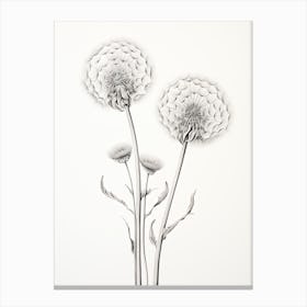 Dandelions Flower Vintage Botanical 1 Canvas Print