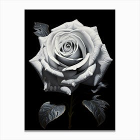 White Rose Canvas Print