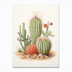 Vintage Cactus Illustration Barrel Cactus 1 Canvas Print