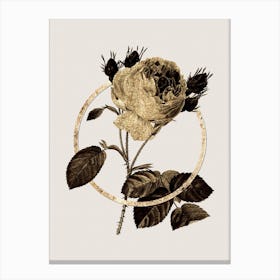 Gold Ring Centifolia Roses Glitter Botanical Illustration n.0163 Canvas Print