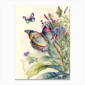 Butterfly In Botanical Gardens Watercolour Ink 1 Canvas Print