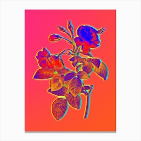 Neon Pink Boursault Rose Botanical in Hot Pink and Electric Blue n.0340 Canvas Print