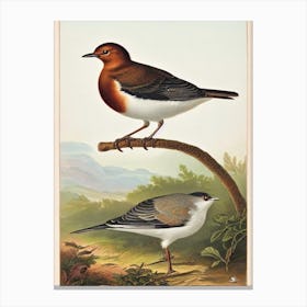 Dipper James Audubon Vintage Style Bird Canvas Print