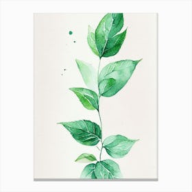Spearmint Leaf Minimalist Watercolour 1 Canvas Print