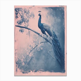 Peacock In The Tree Cyanotype Inspired 3 Canvas Print