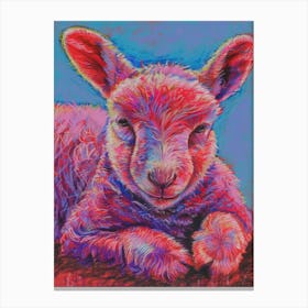 Pink Lamb Canvas Print