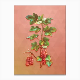 Vintage Redcurrant Plant Botanical Art on Peach Pink n.0136 Canvas Print