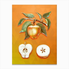 Vintage Carla Apple Botanical Art on Tangelo n.0123 Canvas Print