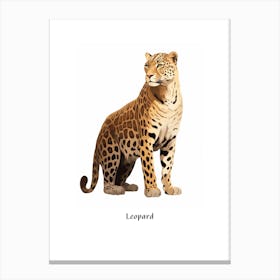 Leopard 2 Kids Animal Poster Canvas Print