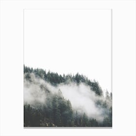 Fog in the Forest Canvas Print