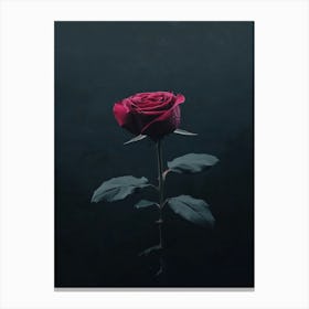 Dark Rose 104 Canvas Print