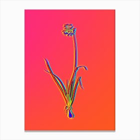 Neon Nodding Onion Botanical in Hot Pink and Electric Blue n.0402 Canvas Print