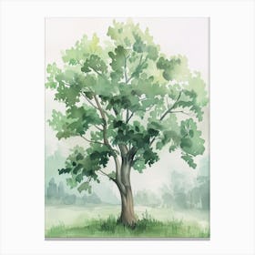 Paulownia Tree Atmospheric Watercolour Painting 7 Canvas Print