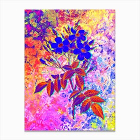 Musk Rose Botanical in Acid Neon Pink Green and Blue Canvas Print