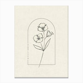 Sego Lily Flower Canvas Print