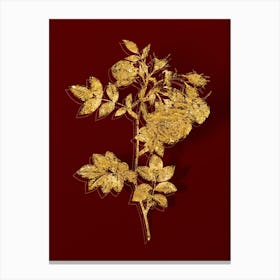 Vintage Turnip Roses Botanical in Gold on Red Canvas Print