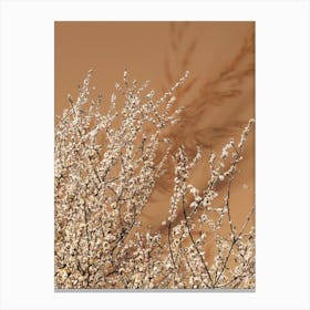 Tranquil Canvas Print