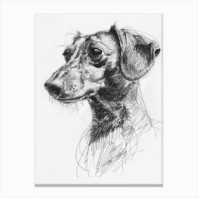 Dachshund Dog Line Sketch 3 Canvas Print
