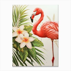 American Flamingo And Tiare Flower Minimalist Illustration 2 Canvas Print