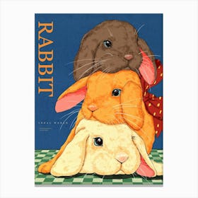 Rabbits Canvas Print