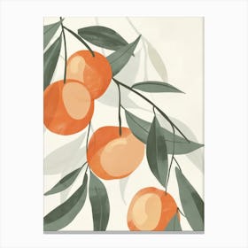 Apricot Close Up Illustration 2 Canvas Print