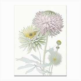Chrysanthemum Floral Quentin Blake Inspired Illustration 2 Flower Canvas Print