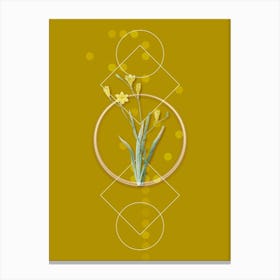 Vintage Ixia Bulbifera Botanical with Geometric Line Motif and Dot Pattern n.0386 Canvas Print
