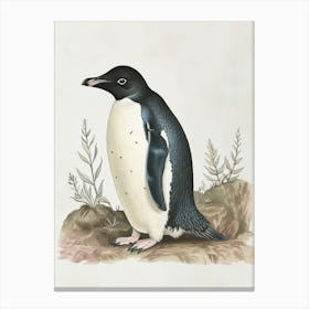 Adlie Penguin Bleaker Island Vintage Botanical Painting 2 Canvas Print