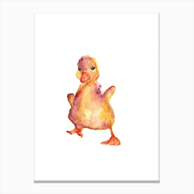 Baby Duck Canvas Print