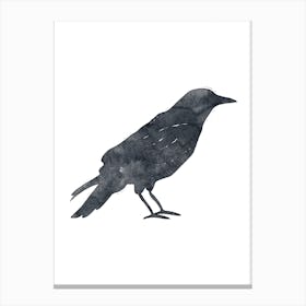 Inkpress Crow Canvas Print