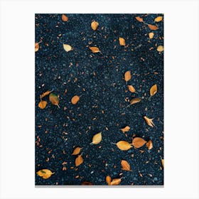 Autumn Leaves On The Road Canvas Print